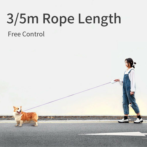 LED Retractable Dog Leash